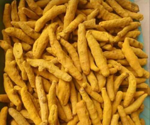 High Nutritional Value Antioxidant Turmeric Roots