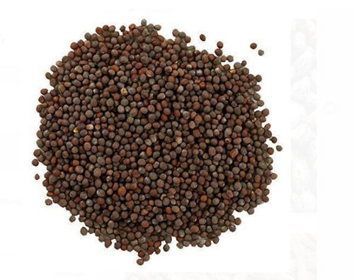 Pure And Natural Food Grade Mustard Seed 