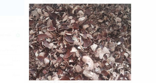 A Grade 100% Pure Indian Origin Nutrient Enriched Dried Cashew Husk