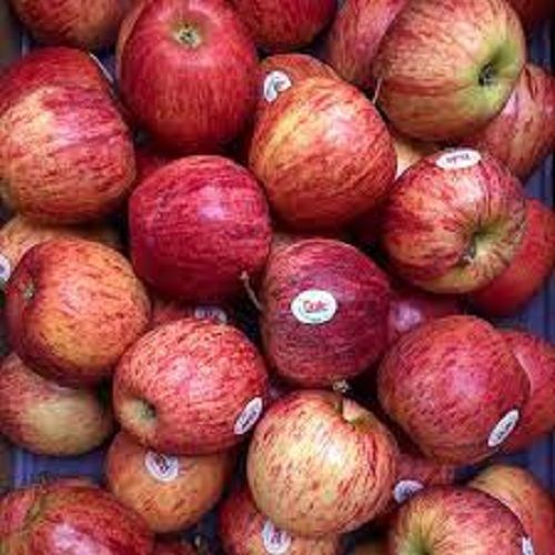 Healthy Natural Rich In Vitamin And Nutrition Fresh Delicious Red Apple 