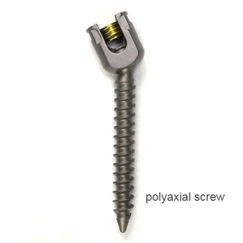 Polyaxial Screw for Orthopaedic Implants