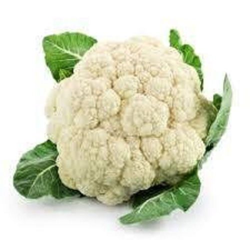Antioxidant Rich In Choline And Fiber Fresh Healthy Nutritional Cauliflower