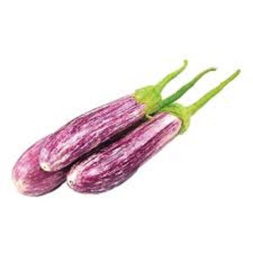 Rich In Fiber And Vitamin Healthy Fresh Naturally Grown Delicious Brinjal