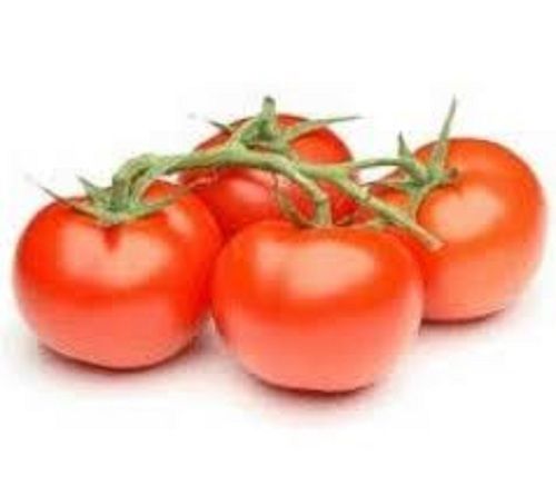 Rich In Vitamin And Potassium High In Pulp Juicy Sweet Fresh And Round Tomatoes