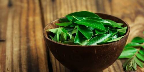 Antioxidant And Heals Wound Prevent Anaemia Anti Diabetic Green Curry Leaves