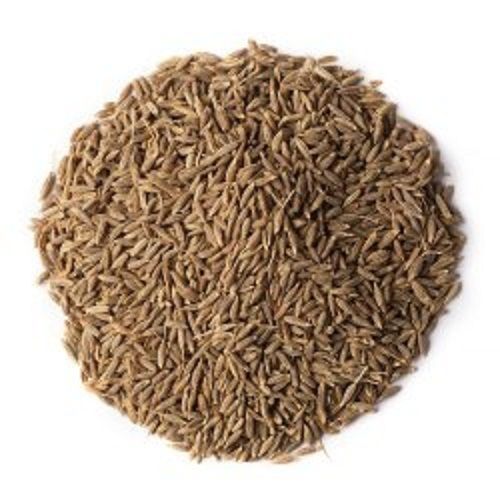 Brown 100 Percent Pure And Organic Natural Dried Loose Cumin Seeds