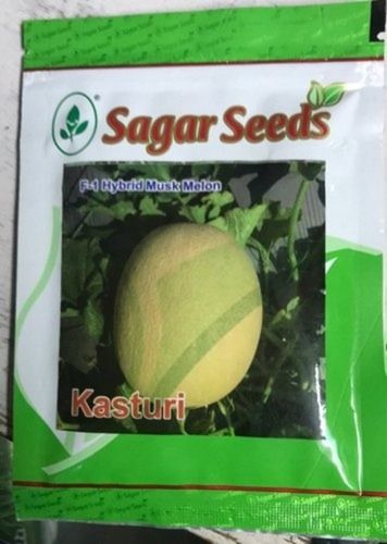 100% Pure And Natural Sagar Seeds Hybrid Kasturi Muskmelon Seeds