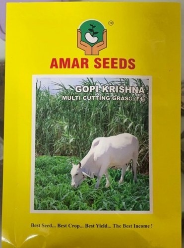 शुद्ध और प्राकृतिक मल्टी कटिंग ग्रास F1 सीड्स, 50 ग्राम पैक एडमिक्सचर (%): 2%
