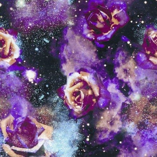 Floral Design Sublimation Print Fabric at Best Price in Ludhiana