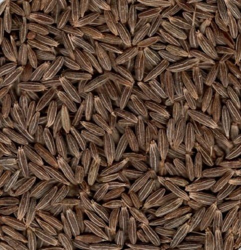 100% Pure Natural Grade Dried Original Cumin Seeds