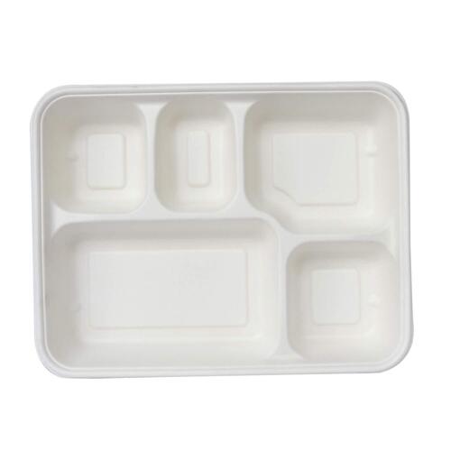 White Light Weight Disposable Plastic Plate For Events And Party