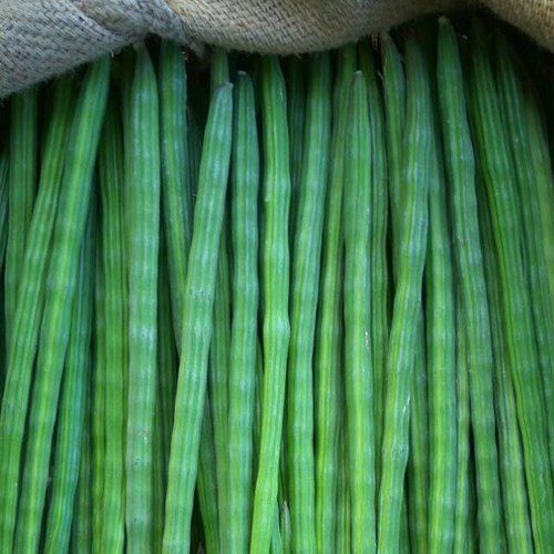 Round Long Drumstick Vegetable Pods Marketing Consultancy