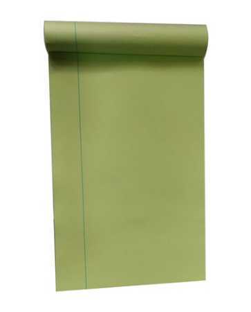 80 GSM One Sided Ruled FS (Legal) Size Green Noting Sheet Pad with 80 Sheets