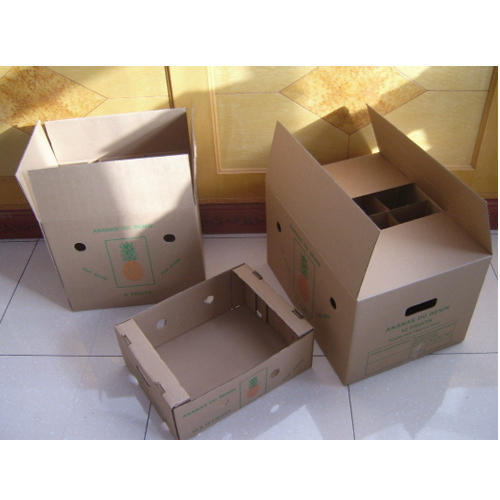 Packaging Carton Box