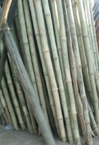 8 Inch Thick 20 Feet Long Round Strong Lightweight Natural Bamboo Poles