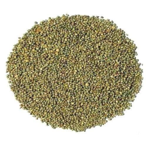Chemical Free Healthy Green Millet Bajara