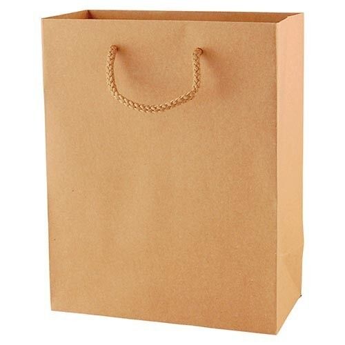 Environment Friendly Disposable Paper Bags