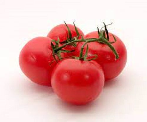 Pesticide Free Natural And Good Source Nutritious Round Red Fresh Tomatoes