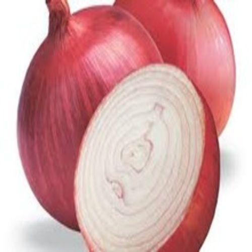 Enhance The Flavor Rich Healthy Natural Taste Fresh Red Onion