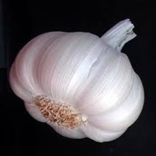 No Artificial Color Chemical Free Natural Rich Taste Healthy White Fresh Garlic