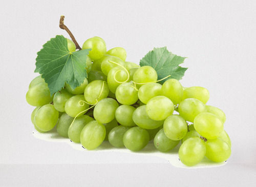 A Grade Nutrient Enriched Healthy Sweet Pure Natural Fresh Green Grapes