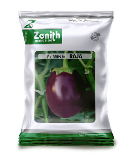 Purple Organic Brinjal Seeds 