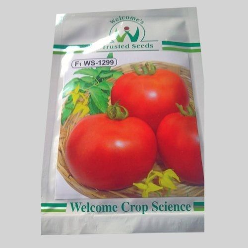 Red Welcome Hybrid Tomato Seeds