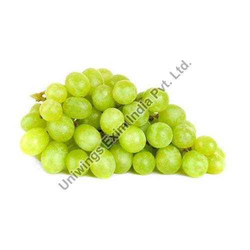 Juicy Rich Delicious Natural Taste Chemical Free Healthy Organic Fresh Grapes