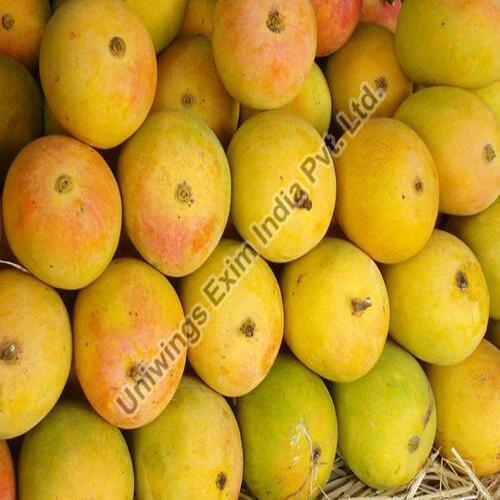 No Artificial Color Sweet Delicious Rich Natural Taste Healthy Organic Yellow Fresh Mango