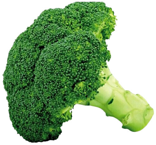  Herbaceous Annual Biennial Grown Edible Flower Head Thick Vitamin C Green Stalk Vegetable Brocoli