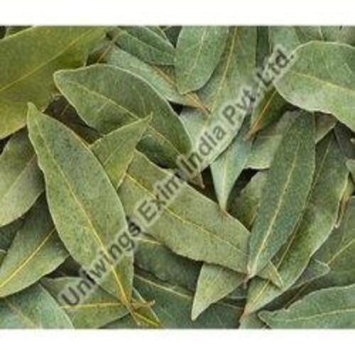 Dried Bay Leaves - Organic Laurus Nobilis, Rich Natural Taste, Nice Fragrance, No Artificial Colors, Chemical Free, Safe Packaging