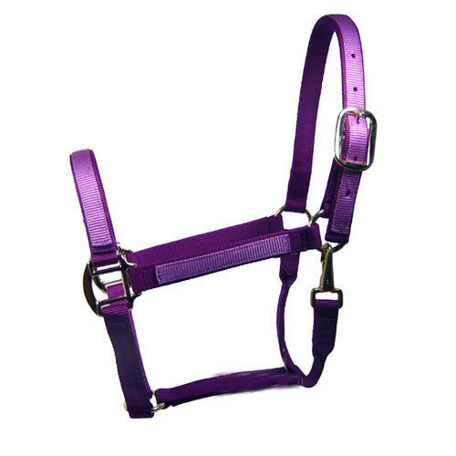 Light Weight Fine Finish Horse Halters For Horse Riding