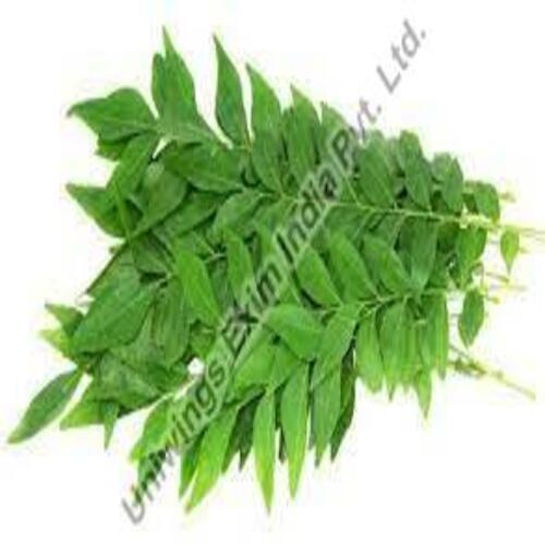 No Artificial Color Nice Fragrance Rich Natural Taste Green Organic Fresh Curry Leaves