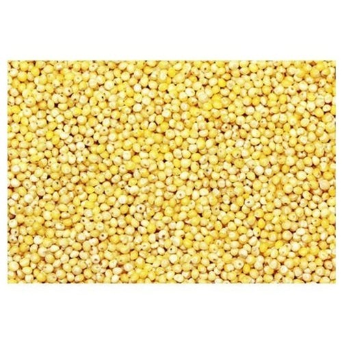 100 Natural Yellow Millet at Best Price in Shikohabad Arpan Traders