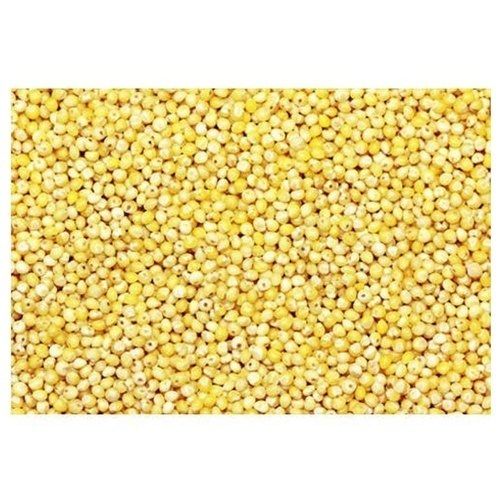 100% Natural Yellow Millet