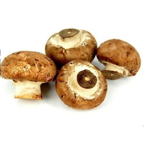 Fresh Brown Mushroom