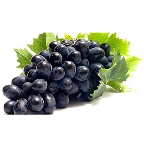 No Artificial Color Rich Sweet Delicious Taste Organic Fresh Black Grapes