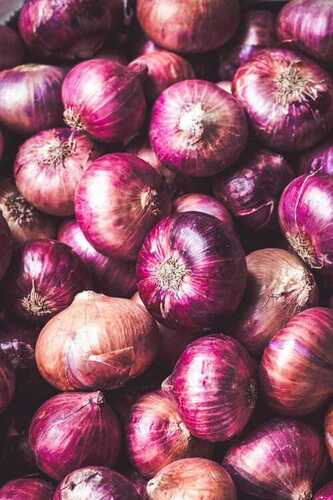 100 Percent Natural And Organic Farm Fresh A Grade Red Onion