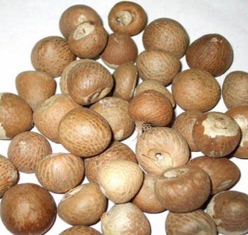 Brown Good Source Of Protein Improve Energy Levels Natural And Fresh Chewing Betel Nuts