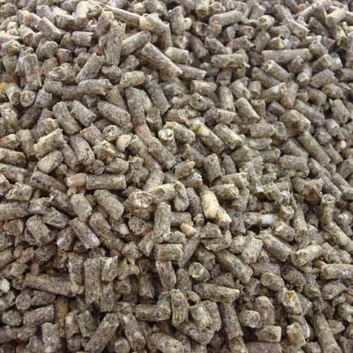 Healthy And Fresh Rich Nutrition Cattle Feed For Animal