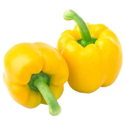 Fine Natural Rich Taste Chemical Free Healthy Yellow Fresh Capsicum