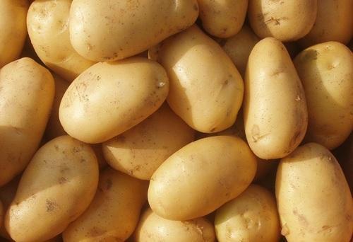 Round Natural Rich Source Of Potassium And Vitamins Healthy Brown Potatoes 