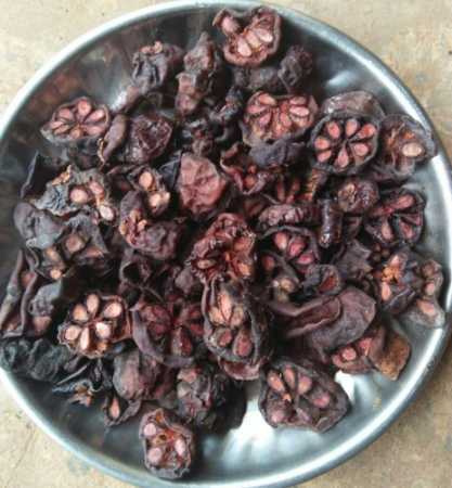 Lonavala kokum