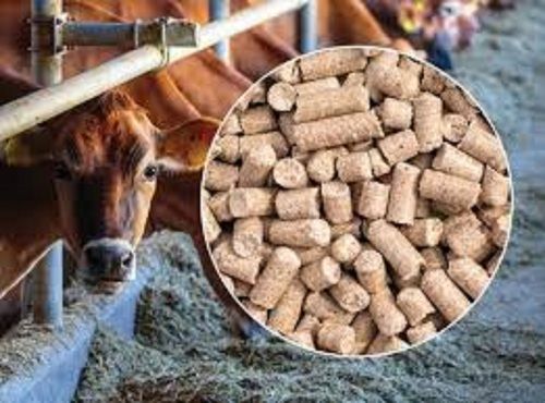 Highly Nourishing Rich In Protein And Vitamins Brown Cattle Feed