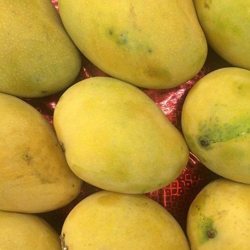 Fresh Mango, Delicious Mouth Watering Excellent Source Of Nutrients Low In Calories