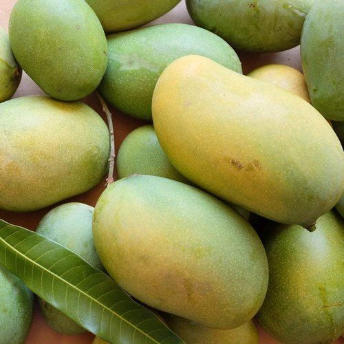  विटामिन सी का अच्छा स्रोत ताजा मुंह में पानी लाने वाला प्राकृतिक पीला हरा आम 