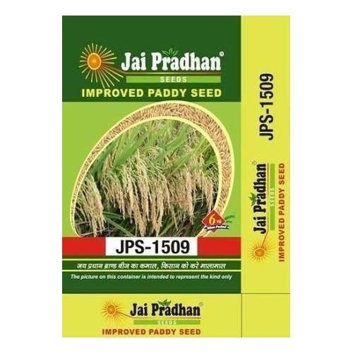 Organic 100% Pure Paddy Seeds