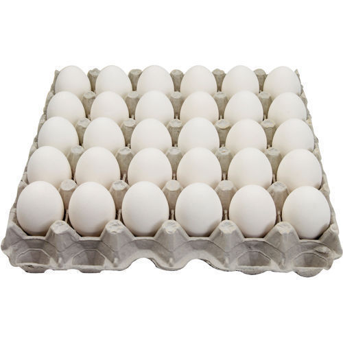 Polypropylene(Pp) White Fresh Classic Chicken Eggs