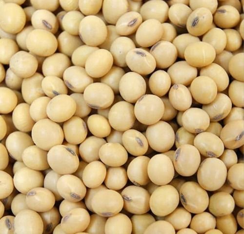 A Grade 99% Pure Nutrient Enriched Healthy Sunlight Dried Soyabean Seeds