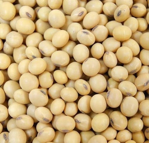 Blue A Grade 99% Pure Nutrient Enriched Healthy Sunlight Dried Soyabean Seeds